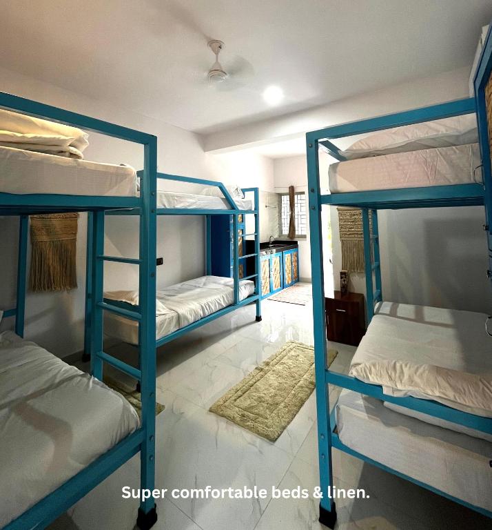 Mixed Dorm